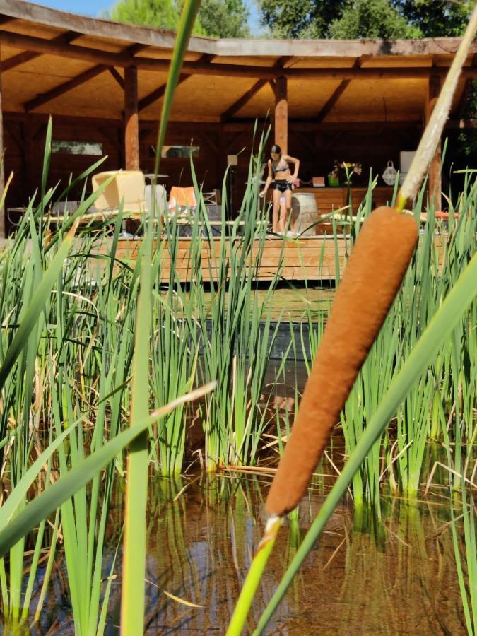 L'Etang Des Cigales Lägenhet Uchaux Exteriör bild